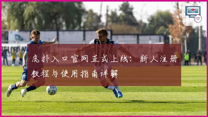 虎扑入口官网正式上线：新人注册教程与使用指南详解