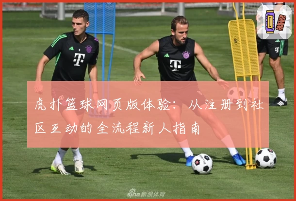 虎扑篮球网页版体验：从注册到社区互动的全流程新人指南