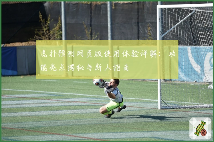 虎扑预测网页版使用体验详解：功能亮点揭秘与新人指南