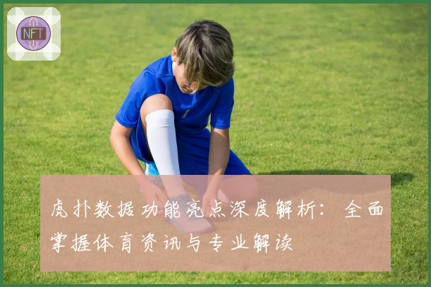 虎扑数据功能亮点深度解析：全面掌握体育资讯与专业解读