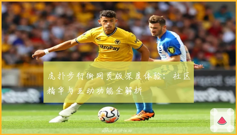 虎扑步行街网页版深度体验:社区精华与互动功能全解析