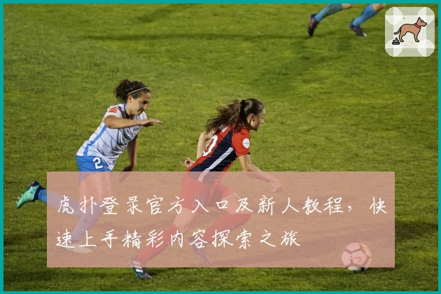 虎扑登录官方入口及新人教程，快速上手精彩内容探索之旅