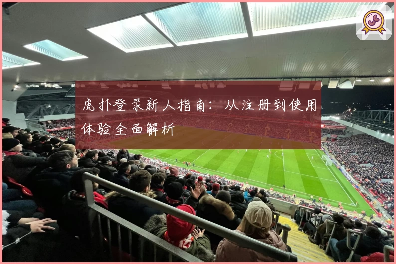 虎扑登录新人指南：从注册到使用体验全面解析