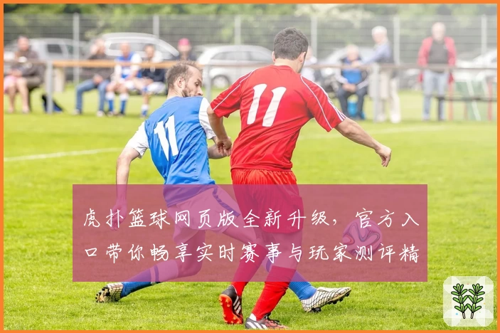 虎扑篮球网页版全新升级，官方入口带你畅享实时赛事与玩家测评精彩内容